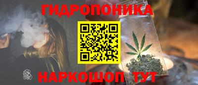 мдпв Партизанск