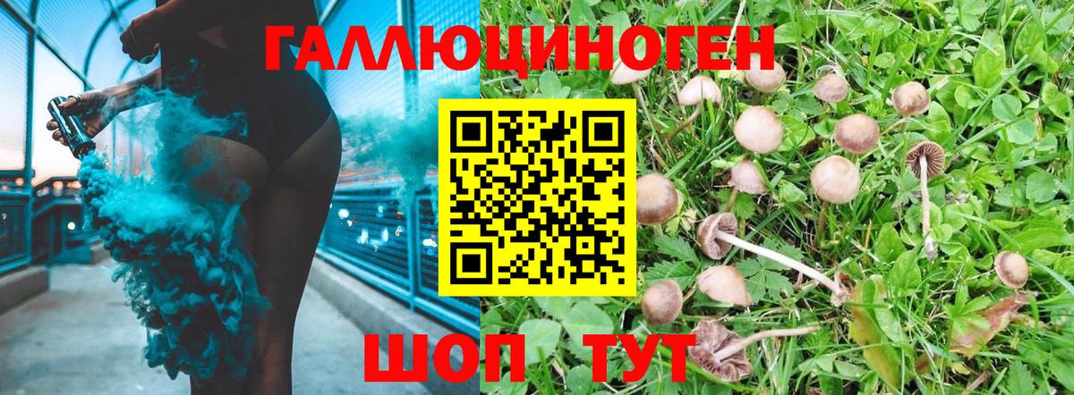 Самара  наркошоп  Вход с VPN  Галлюциногенные грибы ЛСД 
